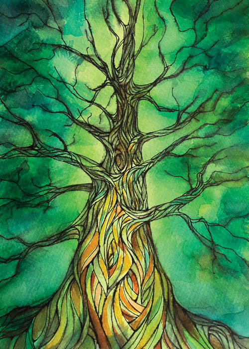 Bobbi Johnston Photo