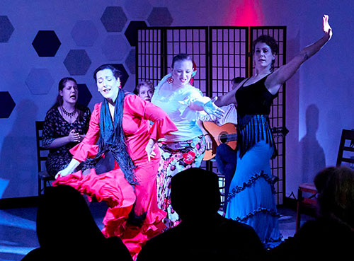 Diana Dinicola & Flamenco Louisville Photo